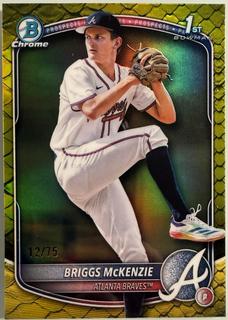 Briggs McKenzie