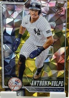 Anthony Volpe