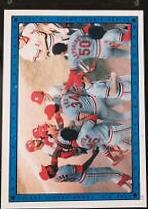 Cardinals Celebrate