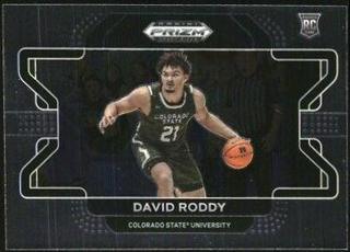 David Roddy