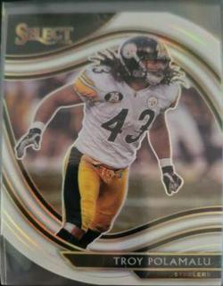 Troy Polamalu
