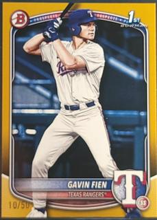 Gavin Fien