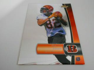Marvin Jones