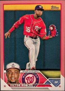 Victor Robles