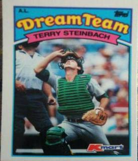 Terry Steinbach