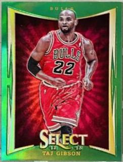 Taj Gibson