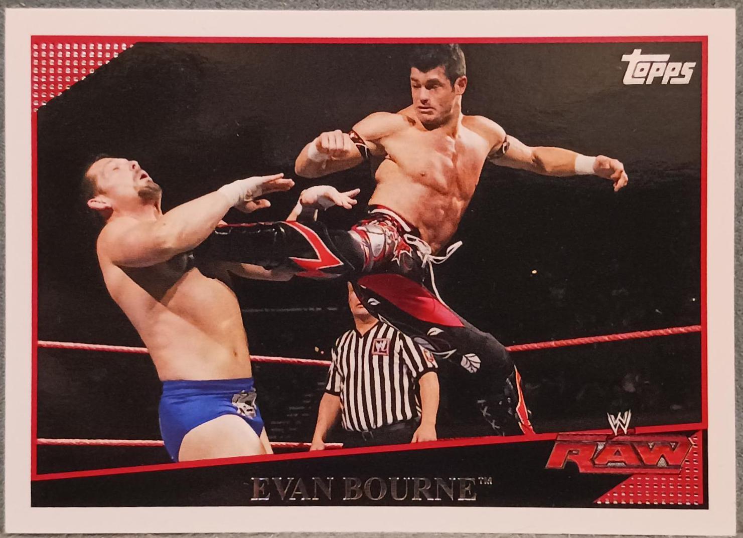 Evan Bourne #15 Wrestling Cards 2009 Topps WWE