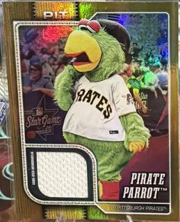 Pirate Parrot