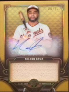 Nelson Cruz
