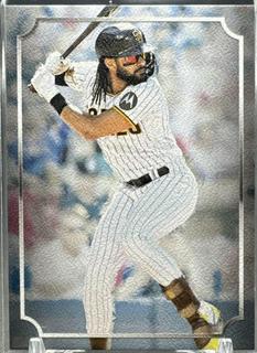 Fernando Tatis Jr.