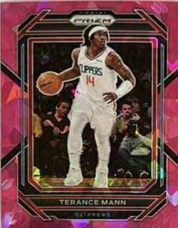 Terance Mann