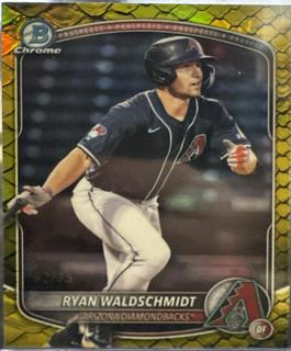 Ryan Waldschmidt