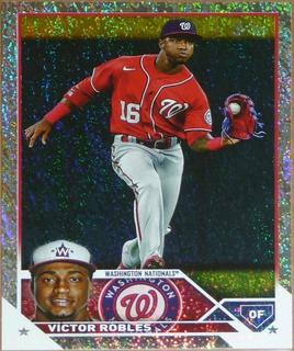 Victor Robles