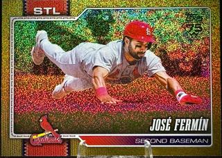 Jose Fermin