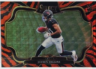 Jayden Higgins