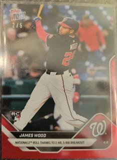 James Wood