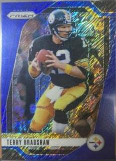 Terry Bradshaw
