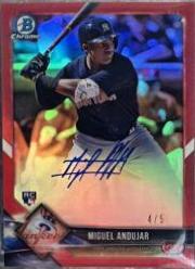 Miguel Andujar