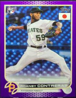 Roansy Contreras