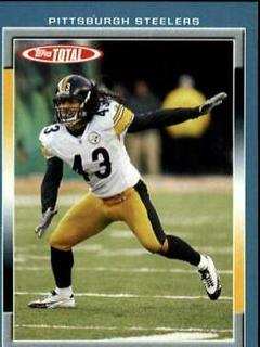 Troy Polamalu