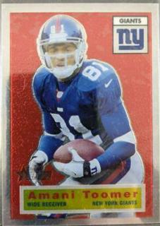 Amani Toomer