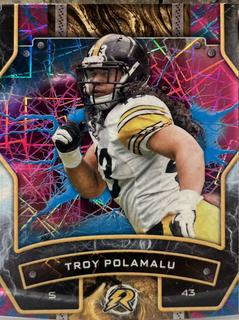 Troy Polamalu