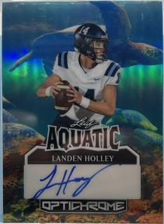 Landen Holley