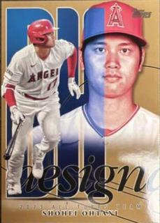 Shohei Ohtani