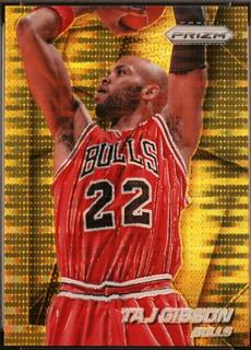 Taj Gibson