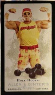 Hulk Hogan [Mini Black Border] #307