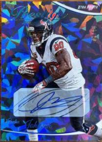 Andre Johnson
