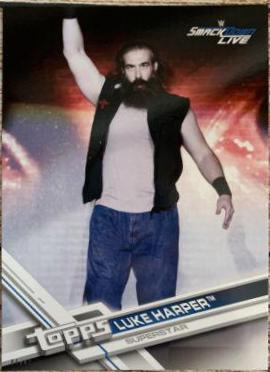 Luke Harper #49 Wrestling Cards 2017 Topps WWE