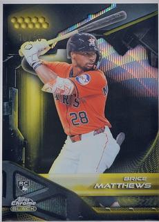 Brice Matthews