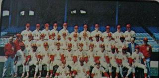 White Sox Team