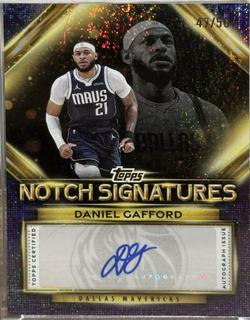 Daniel Gafford