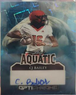 CJ Bailey
