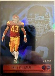 Troy Polamalu