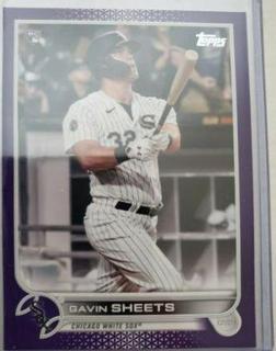 Gavin Sheets