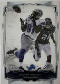 Calvin Johnson