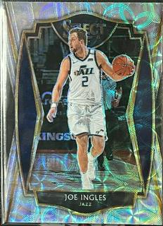 Joe Ingles