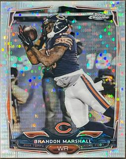 Brandon Marshall