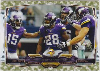 Minnesota Vikings