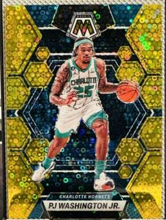 PJ Washington Jr.