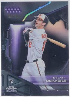 Dylan Beavers