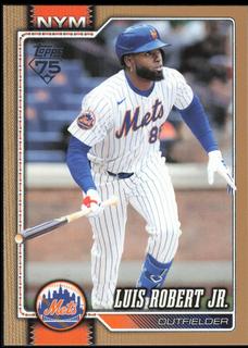 Luis Robert Jr.