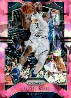 Torrey Craig