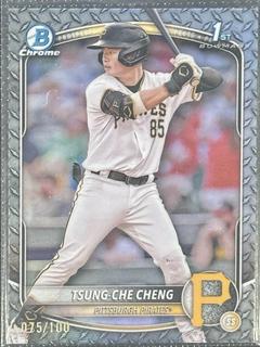 Tsung-Che Cheng