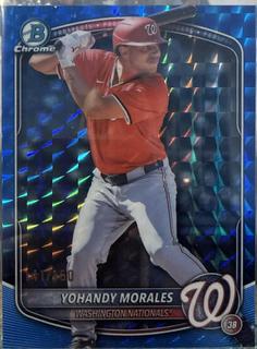Yohandy Morales