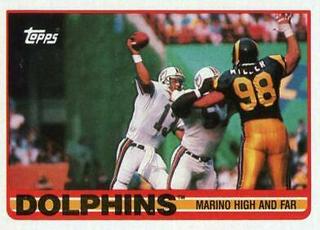 Miami Dolphins