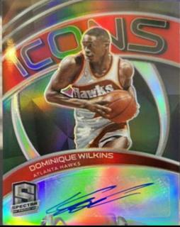 Dominique Wilkins